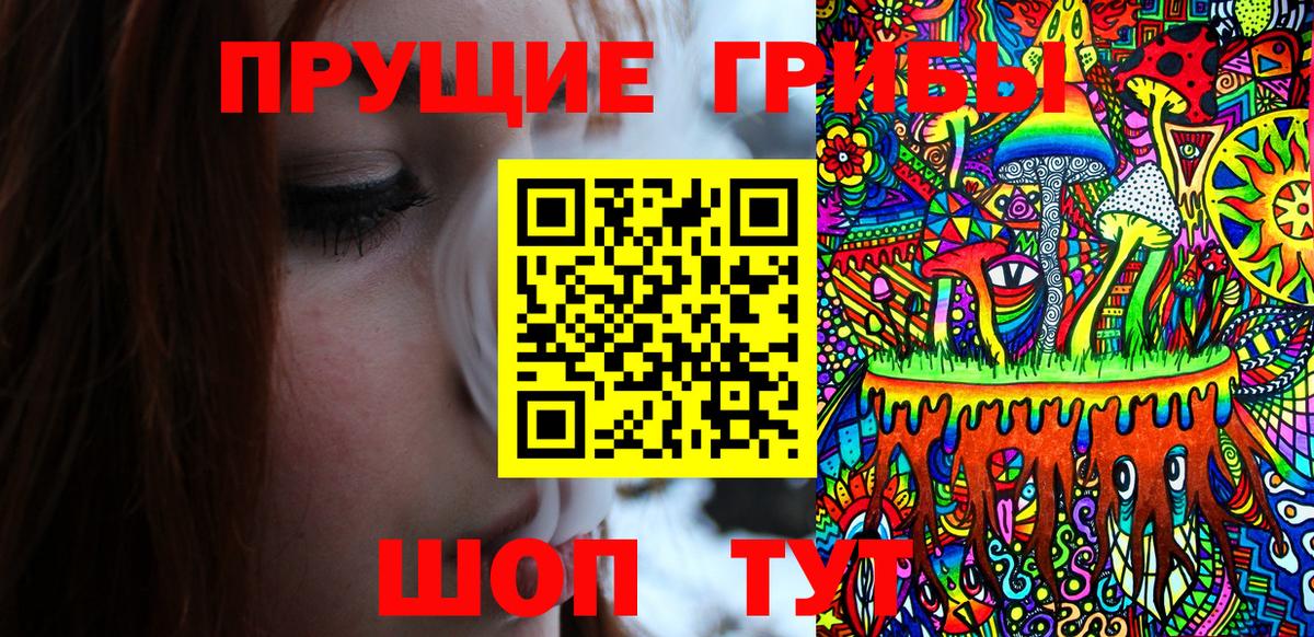 Псилоцибиновые грибы Cubensis Тула
