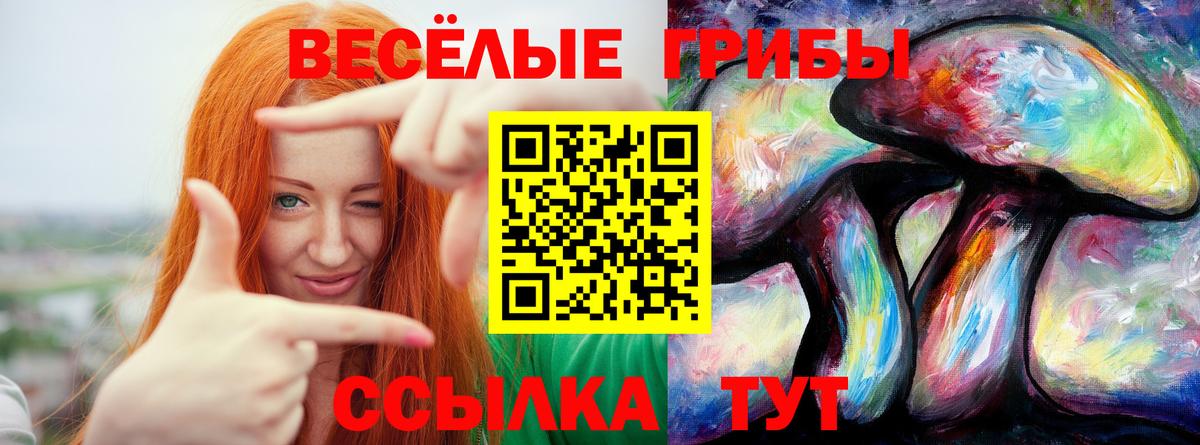 Галлюциногенные грибы мухоморы  Галлюциногенные грибы Psilocybine cubensis  Тула  Вход с VPN 